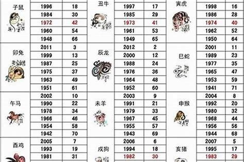 狗五行屬性|12生肖詳解，你有哪些特性？【屬狗篇】